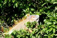 IMG_3012 &ndash; &copy; Annett Müller (Eberhardt TRAVEL)